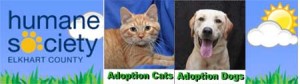 Please help these deserving pets find a home.