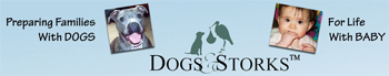 dogsandstorks