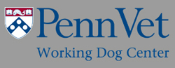 PennVet_blog_WDC